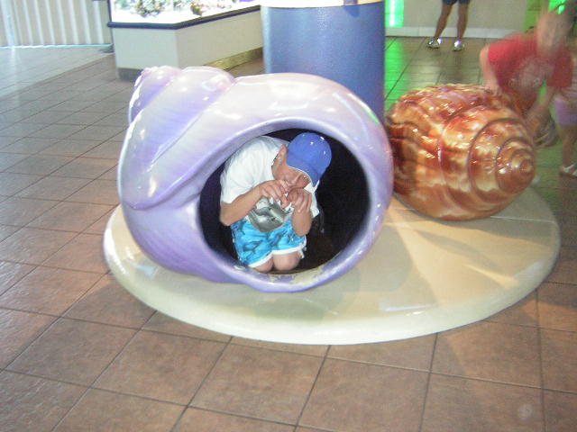 aquarium7.jpg